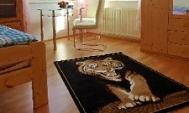 Regionalzimmer.at - Monteurwohnung Hund