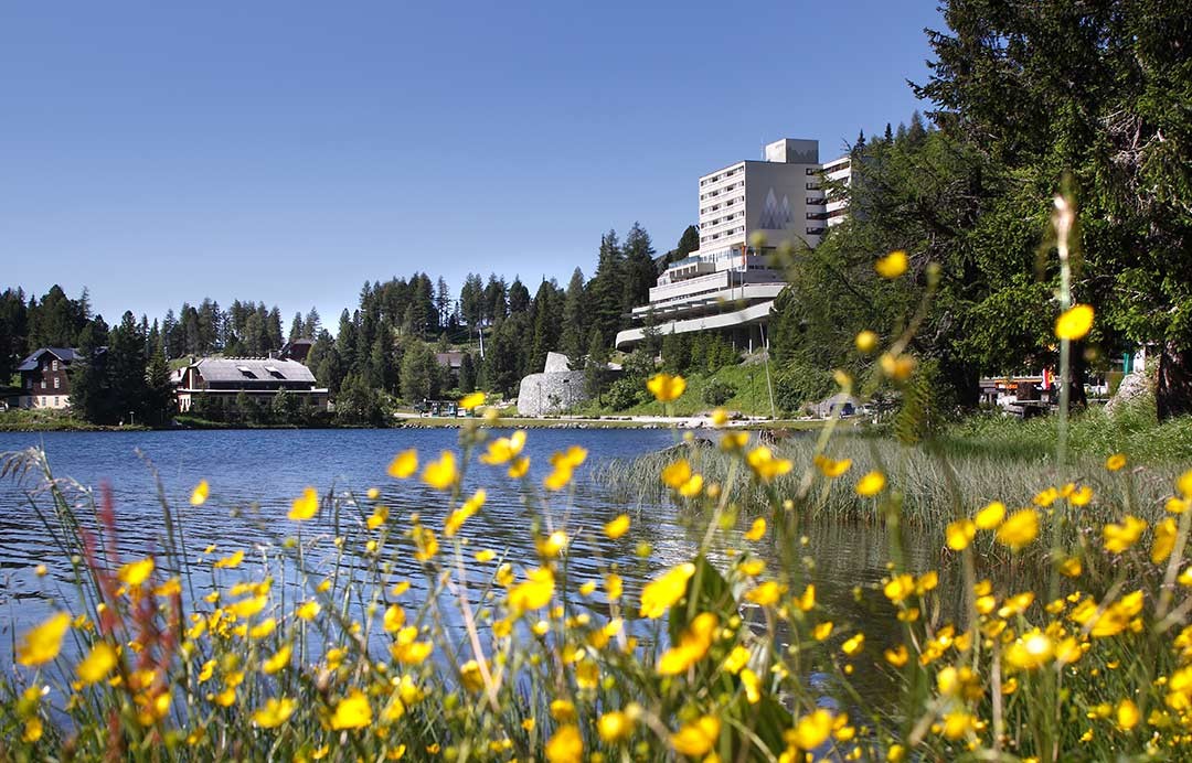 Regionalzimmer.at - Panorama Hotel Turracher Höhe 