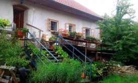 Regionalzimmer.at - Uriges Appartement am Tierschutzhof