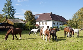 Regionalzimmer.at - Kronawetterhof