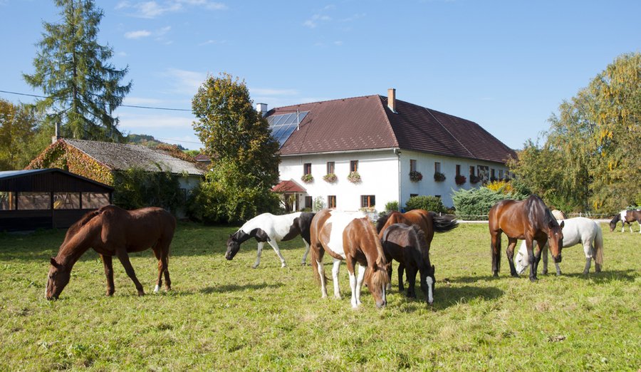 Regionalzimmer.at - Kronawetterhof